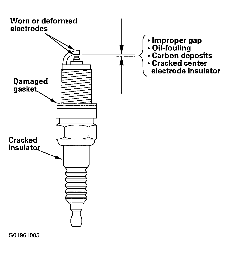 G01961005