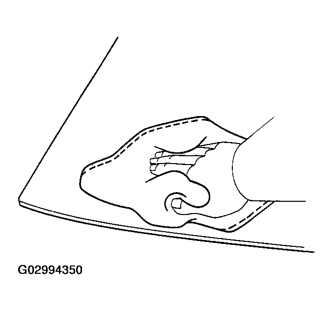 G02994350