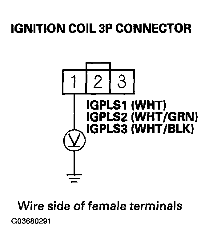 G03680291