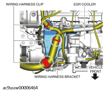 G11436035