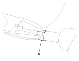 G11856699