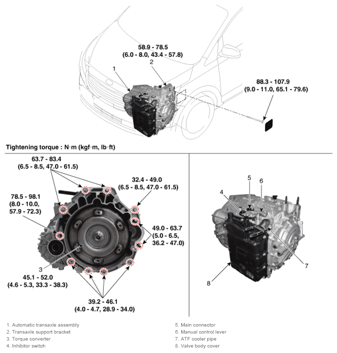 G13044494