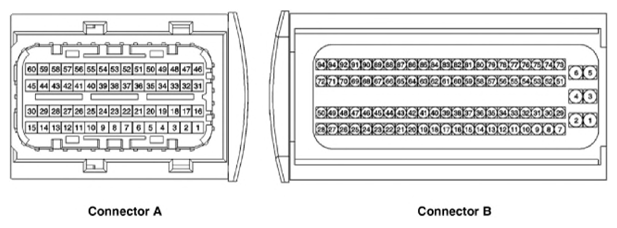 G13480590