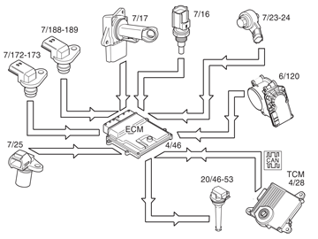 GLL1031534
