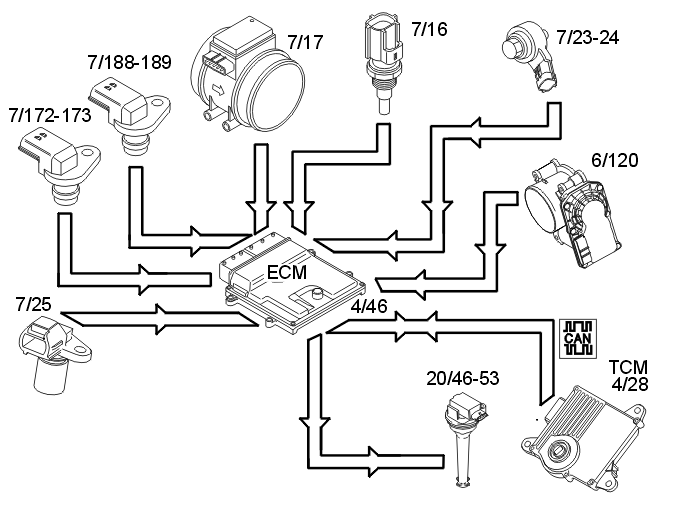 GLL149971